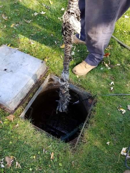 Sewer Cleaning in Elmhurst, IL (1)
